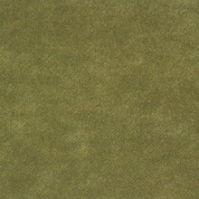 Load image into Gallery viewer, Glam Fabric Tyra Zucchini - Velvet Upholstery Fabric